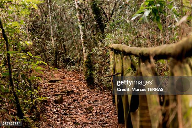 trail / trilha - terras stock pictures, royalty-free photos & images