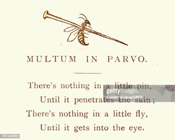 Multum Victorian Satirical Cartoon Multum In Parvo Much In Little High-Res ...