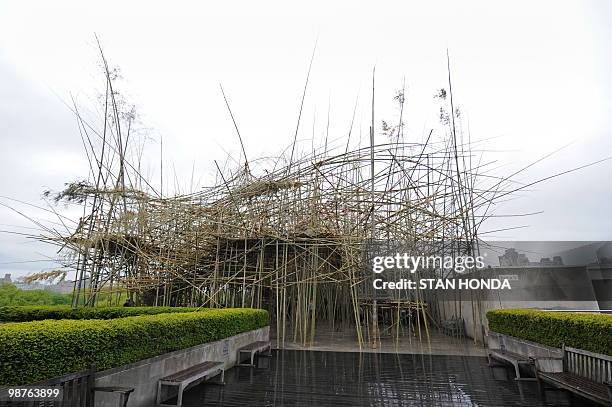 Artists Doug and Mike Starn's sculpture "Big Bambú: You Can't, You Don't, and You Won't Stop", April 26 a large bamboo structure on the roof of the...