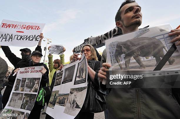 People hold posters of animals that died in Kiev Zoo recently during a protest in front of Kiev city administration on April 30, 2010. Ukraine...