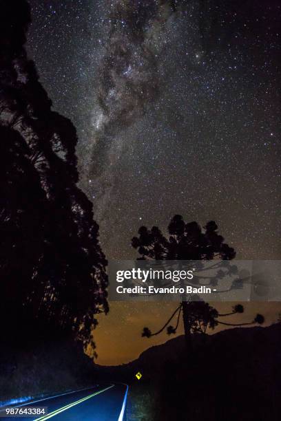 noite estrelada - noite fotografías e imágenes de stock