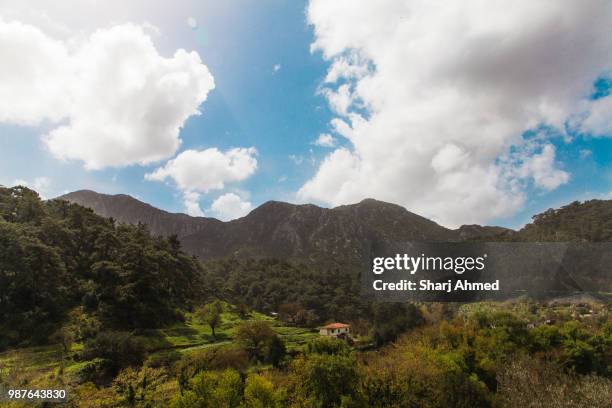 Shaarj 15 Sharj Stock Photos, High-Res Pictures, and Images - Getty Images