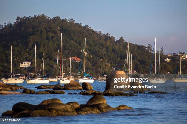 porto no santo antonio - santo antonio stock pictures, royalty-free photos & images