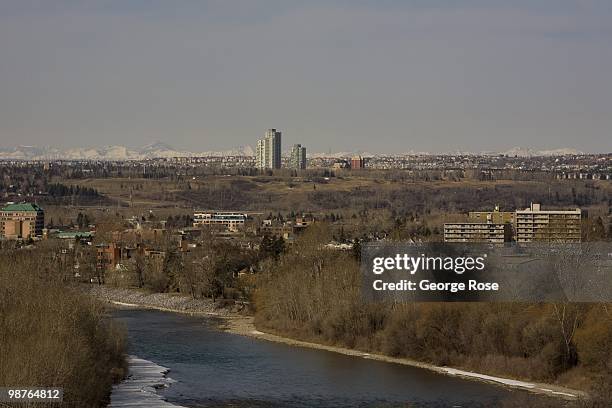 Forest of trees lining the banks of the Bow River along Memorial Drive are seen looking west in this 2010 Calgary, Canada, spring morning landscape...