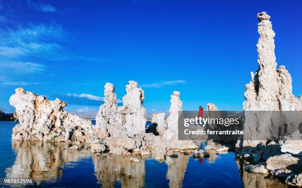 solo reiziger op mono lake - carbonaatmineraal stockfoto's en -beelden