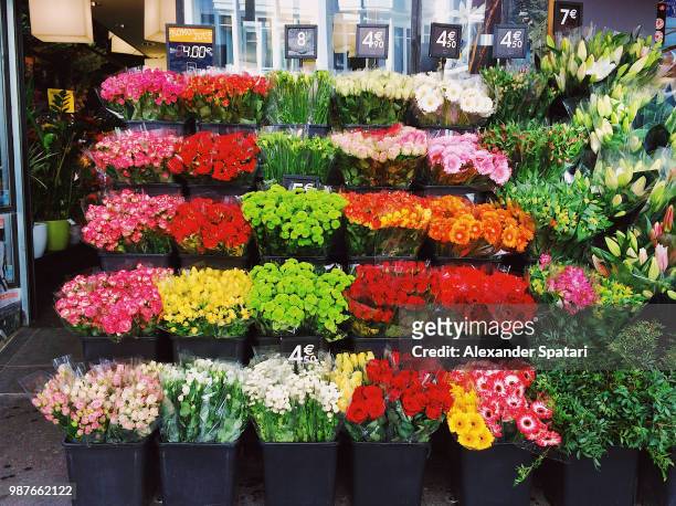 flower shop display on the street in paris, france - flower stall stock pictures, royalty-free photos & images