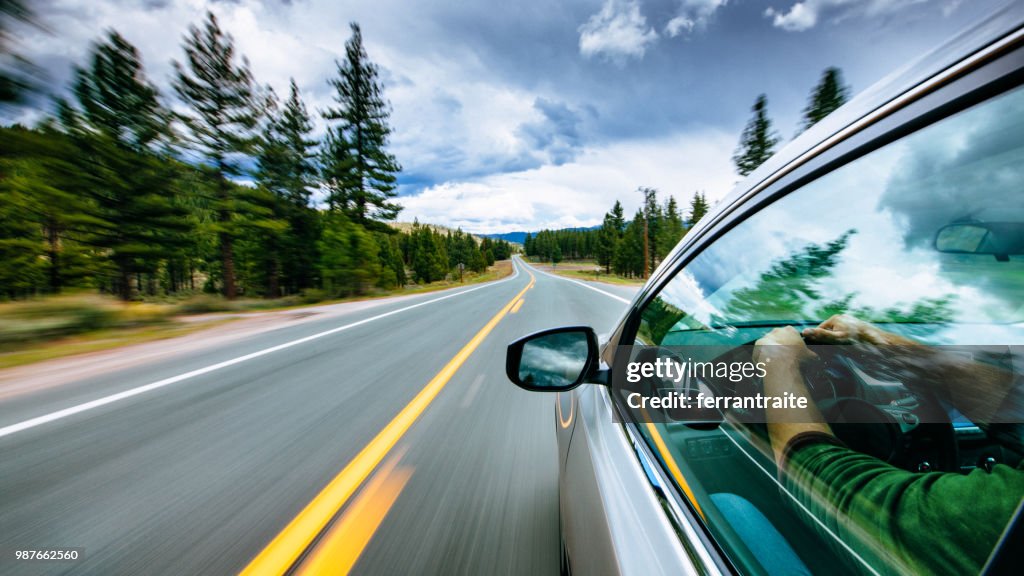 Road Trip