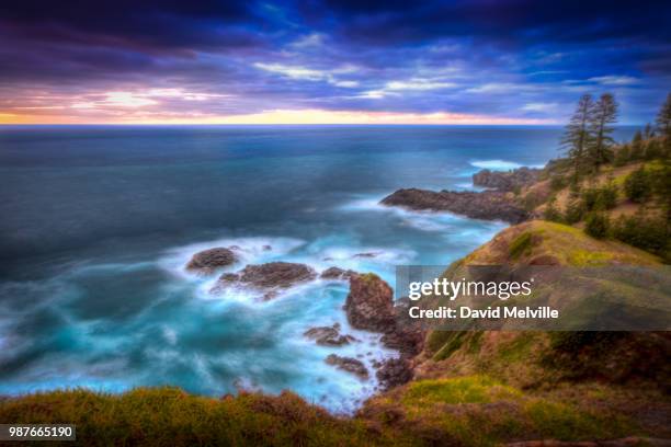 first light pt 2 - melville island stock pictures, royalty-free photos & images