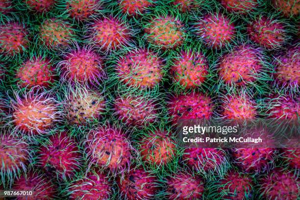 fruit of the day - rambutan stock pictures, royalty-free photos & images