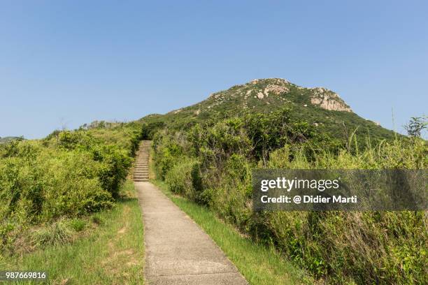 hiking trail leading to the top of the ling kok shan mountain in lamma island on a sunny day in hong kong - didier marti stock pictures, royalty-free photos & images