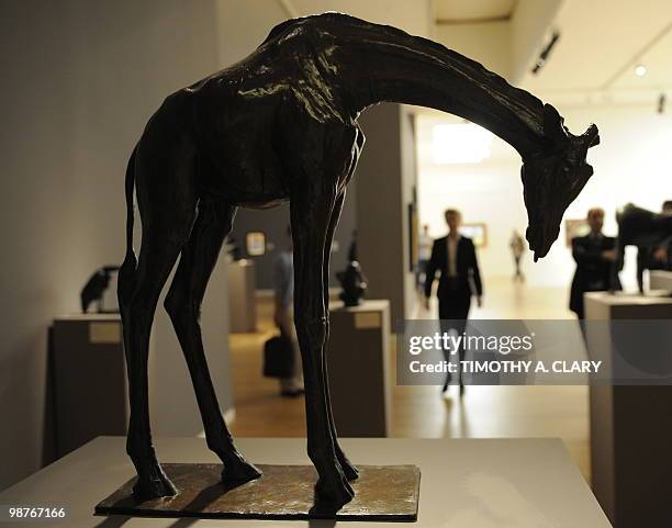 Sculpture titled "grand Girafe Tete Basse" by Rembrandt Bugatti during a press preview April 30, 2010 at Sotheby's New York for their spring sales of...