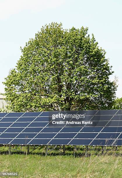 An array of photovoltaic solar panels at the Berliner Wasserbetriebe are seen on April 30, 2010 in Berlin, Germany. Germany has invested heavily in...