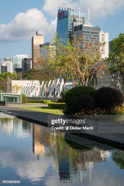 reflection of the skyscrapers of the central business district in hong kong island in the water of a pond - didier marti stock pictures, royalty-free photos & images