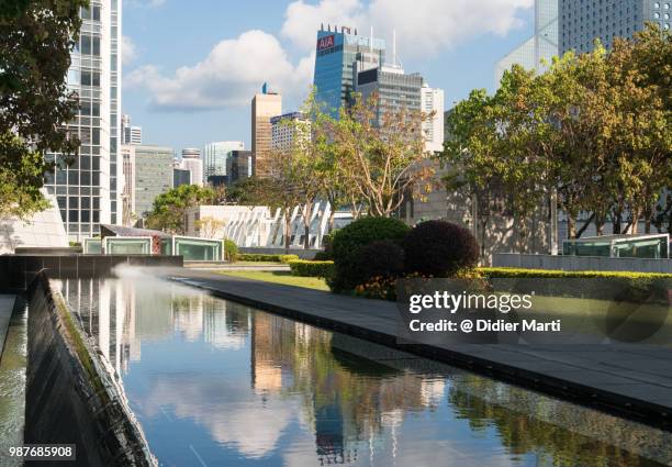 reflection of the skyscrapers of the central business district in hong kong island in the water of a pond - didier marti stock pictures, royalty-free photos & images