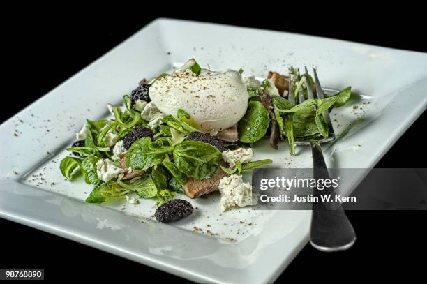 baby greens with frisee, dried bing cherries, gorg - plato cuadrado fotografías e imágenes de stock