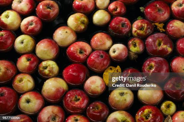 apples in water - water apples stock pictures, royalty-free photos & images
