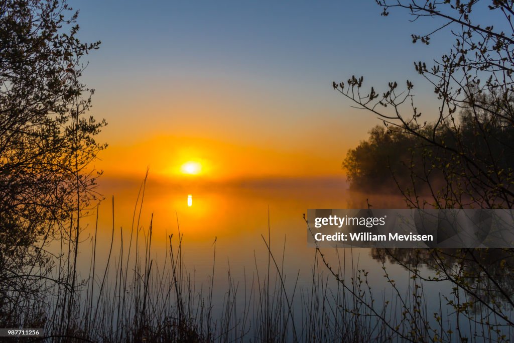 Misty Sunrise 'Silhouettes'