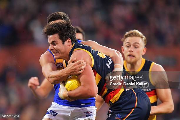 Darcy Fogarty of the Crows competes for the ball during the round 15 AFL match between the Adelaide Crows and the West Coast Eagles at Adelaide Oval...