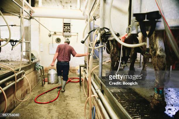 working american dairy farmer carrying jug of fresh milk - suction tube stock pictures, royalty-free photos & images