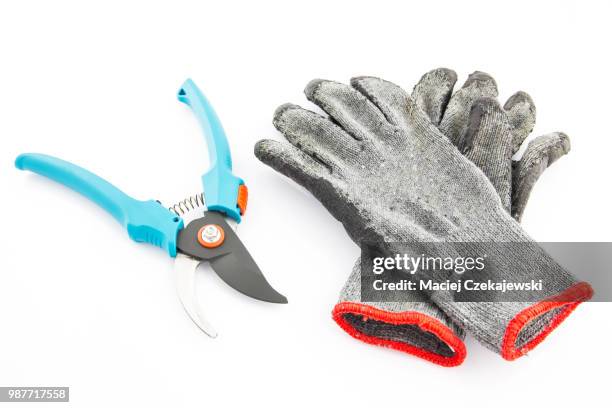 pruning shears and gardening worn gloves - animal hand stock pictures, royalty-free photos & images