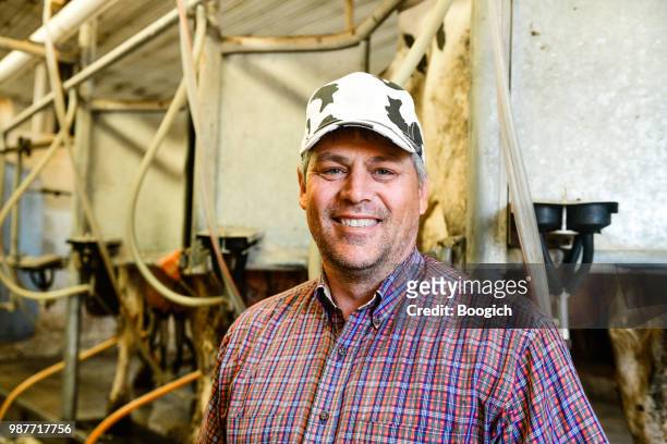 mature smiling american dairy farmer standing by cow milking stations utah usa - suction tube stock pictures, royalty-free photos & images