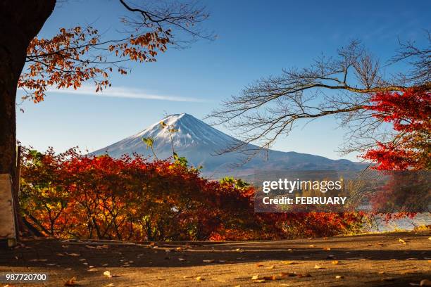 fuji in autumn - yamanaka lake stockfoto's en -beelden