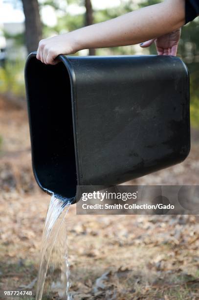 Woman pouring water from the bucket in order to prevent mosquito breeding, 2016. Image courtesy Centers for Disease Control / National Center for...