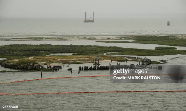 Birds at the Breton Island sanctuary that is protected by oil boom barriers to stop the spread of oil from the BP Deepwater Horizon platform...