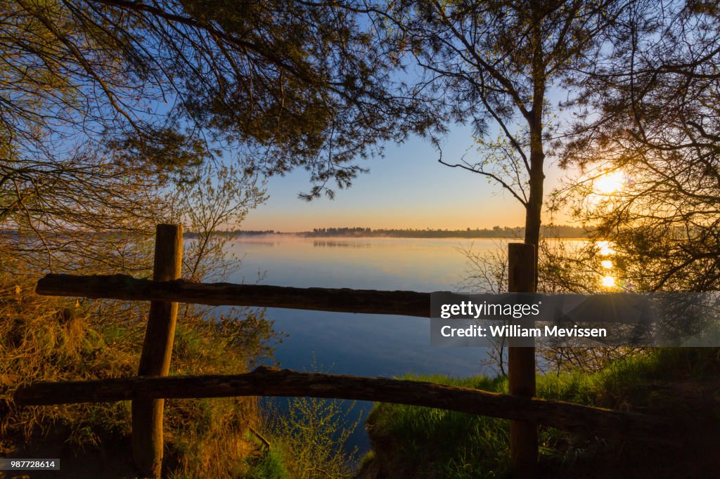 Misty Sunrise 'Fence'