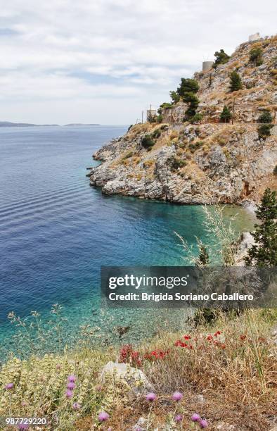 landscape in hydra, a greek island - hydra bildbanksfoton och bilder