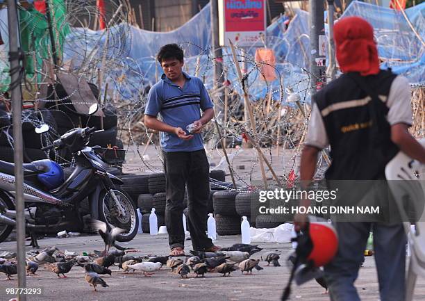 Thai Red Shirt anti-government protester feeds pigeons inside the Red Shirts' fortified camp in the financial central district of Silom in downtown...