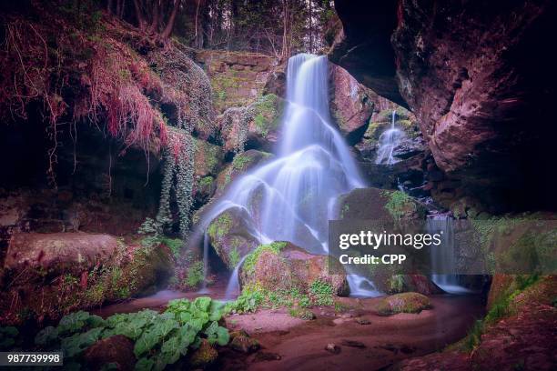 lichtenhainer wasserfall - wasserfall stock pictures, royalty-free photos & images