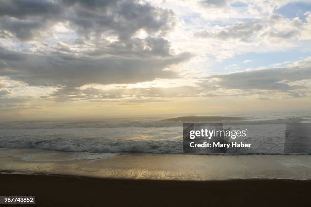 serene seashore morning - mary moody stock-fotos und bilder