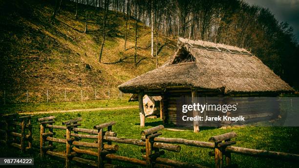 cottage - thatched roof huts stock pictures, royalty-free photos & images
