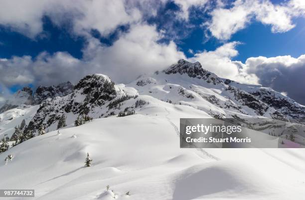 golden ears mountain in british columbia, canada. - golden british columbia stock pictures, royalty-free photos & images