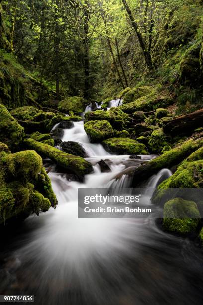 gorton creek - bonham stock pictures, royalty-free photos & images