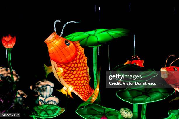 Spring Festive Fish 968 Fish Lantern Festival Stock Photos, High-Res Pictures, and Images ...