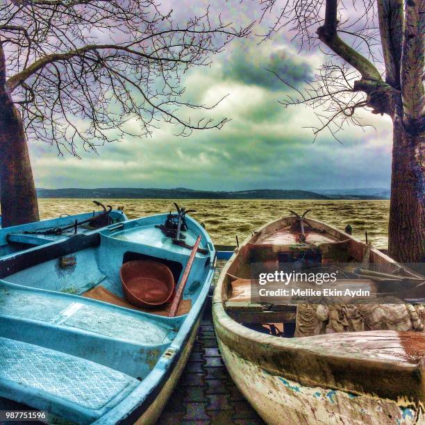 romantic couple watching the sky - melike stock pictures, royalty-free photos & images