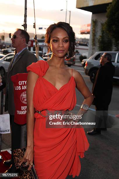 Zoe Saldana at Screen Gem's World Premiere of 'Death at a Funeral' on April 12, 2010 at Arclight Cinerama Dome in Hollywood, California.