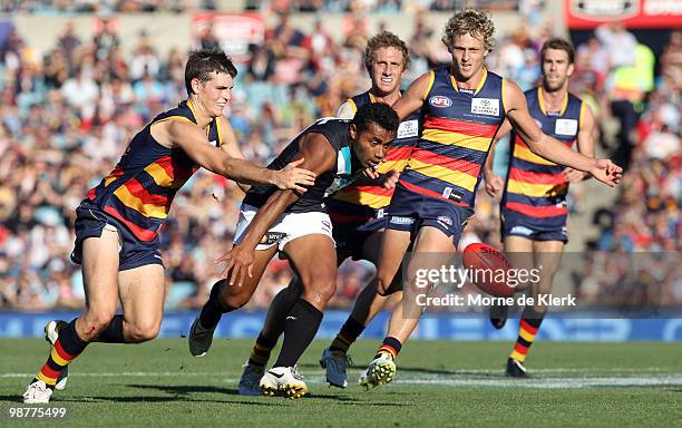 David Rodan David Rodan Photos and Premium High Res Pictures - Getty Images