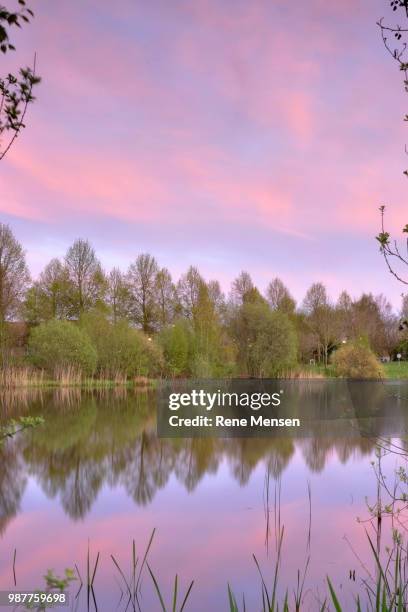 pink sky - serene mensen fotografías e imágenes de stock