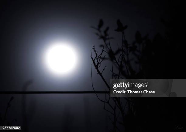 1,960 Lua Stock Photos, High-Res Pictures, and Images - Getty Images