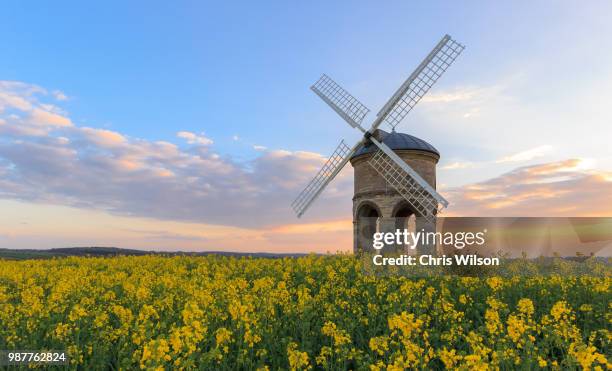 chesterton windmill at sunset - chesterton stock-fotos und bilder