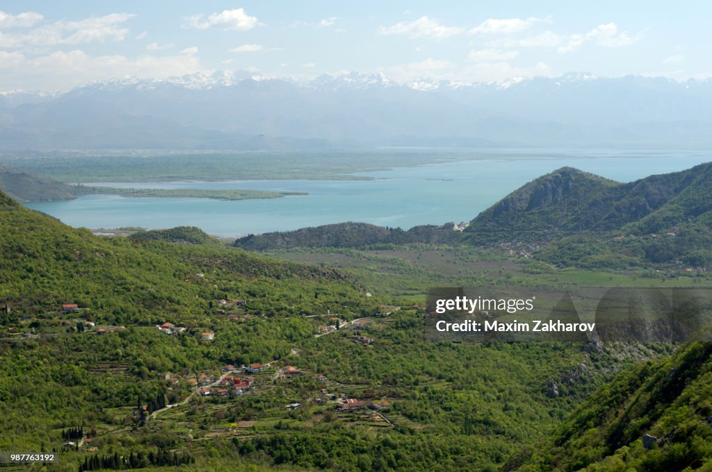 Skadar lake
