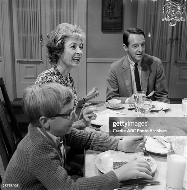 House Guest" which aired on October 19, 1963. PAUL O'KEEFE;ILKA CHASE;WILLIAM SCHALLERT