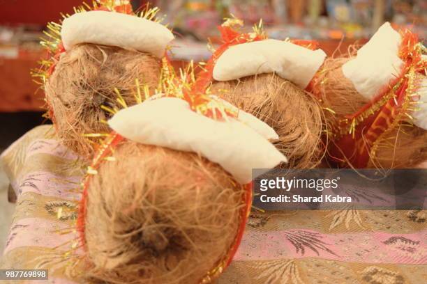 holy coconuts - gift baskets stock pictures, royalty-free photos & images