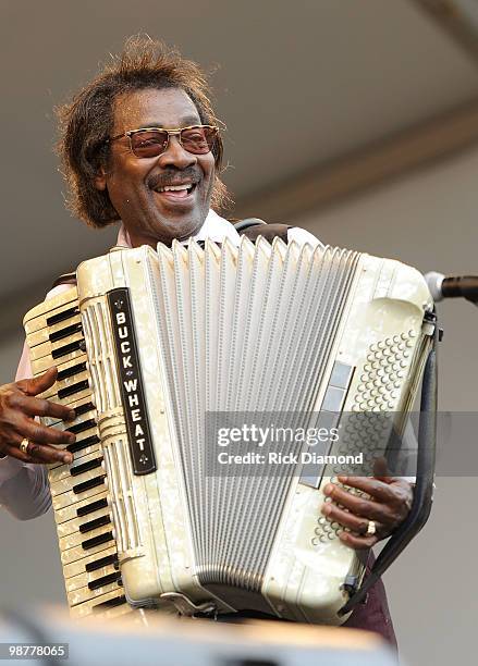 Buckwheat Zydeco performs at the 2010 New Orleans Jazz & Heritage Festival Presented By Shell - Day 5 at the Fair Grounds Race Course on April 30,...