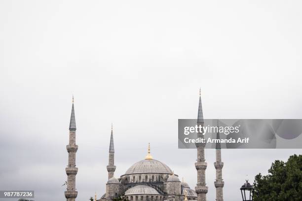 blue mosque - armanda stock pictures, royalty-free photos & images