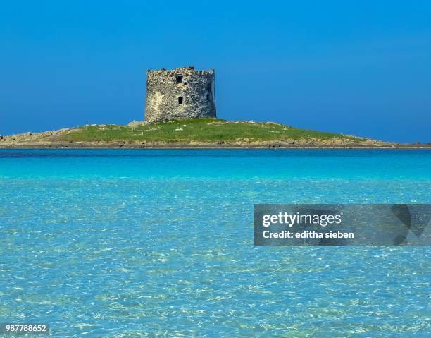 stintino,italy - stintino stock pictures, royalty-free photos & images