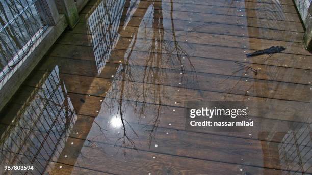 reflection in water - milad stock pictures, royalty-free photos & images